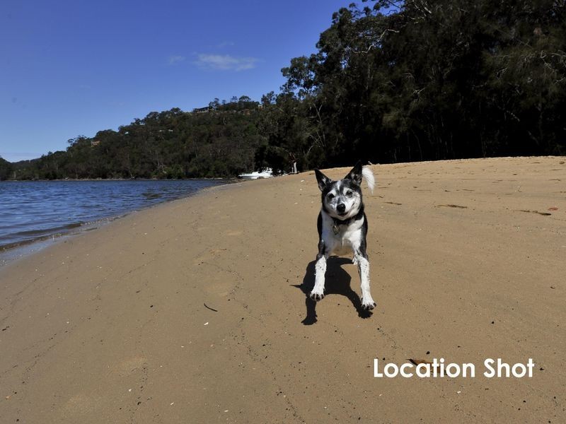 94 Babbage Road, Roseville Chase NSW 2069