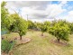87 Melbourne Street, Abermain NSW 2326