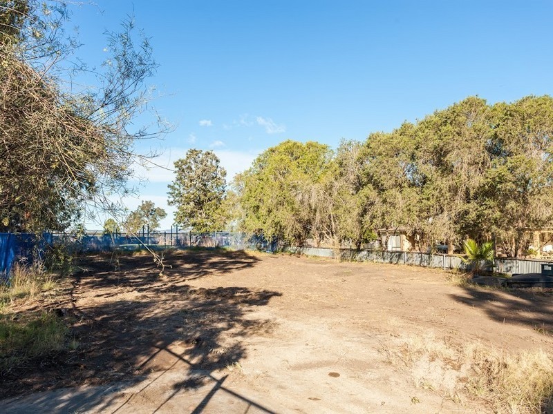 10 Government Circuit, Kearsley NSW 2325
