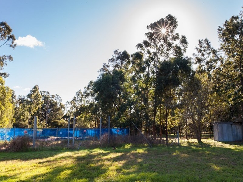 10 Government Circuit, Kearsley NSW 2325