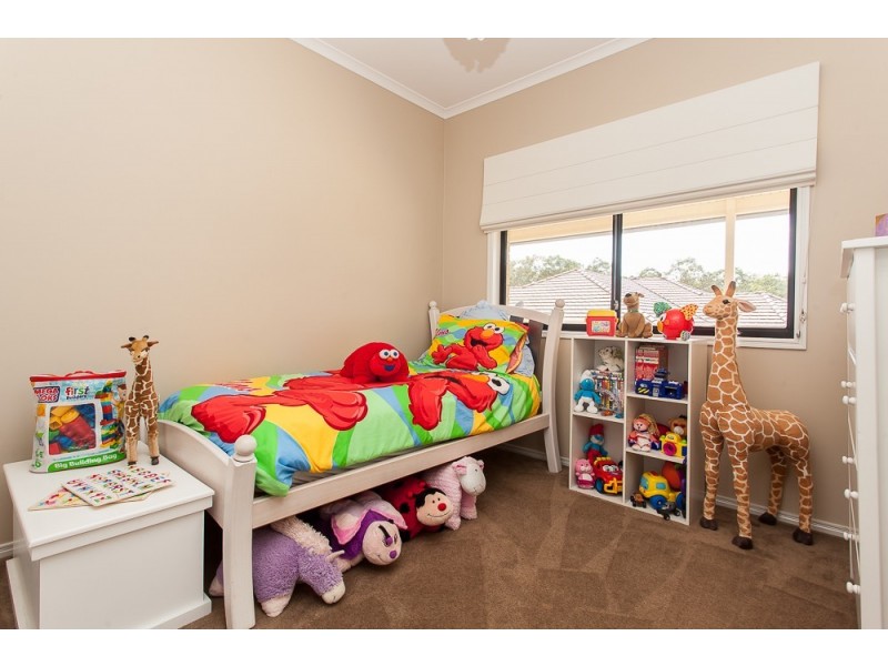 6 Kookaburra Close, Weston NSW 2326