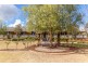 500 Maitland Road, Cessnock NSW 2325