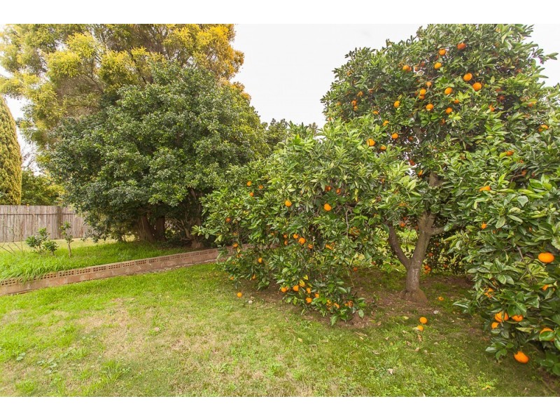 30 Moore Street, Cessnock NSW 2325