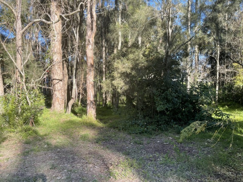 25 Hunter Street, Ellalong NSW 2325