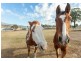 54 Davis Street, Millfield NSW 2325