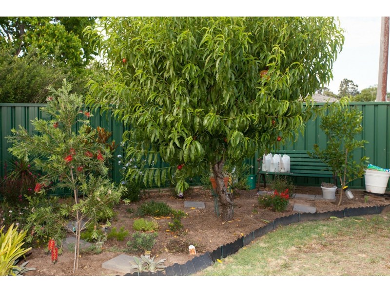 36 Maclean St, Cessnock NSW 2325