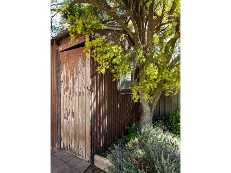 39 Swanson St, Weston NSW 2326