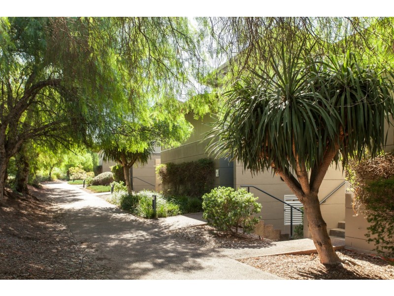 Villa 72/165 Thompsons Rd, Pokolbin NSW 2320