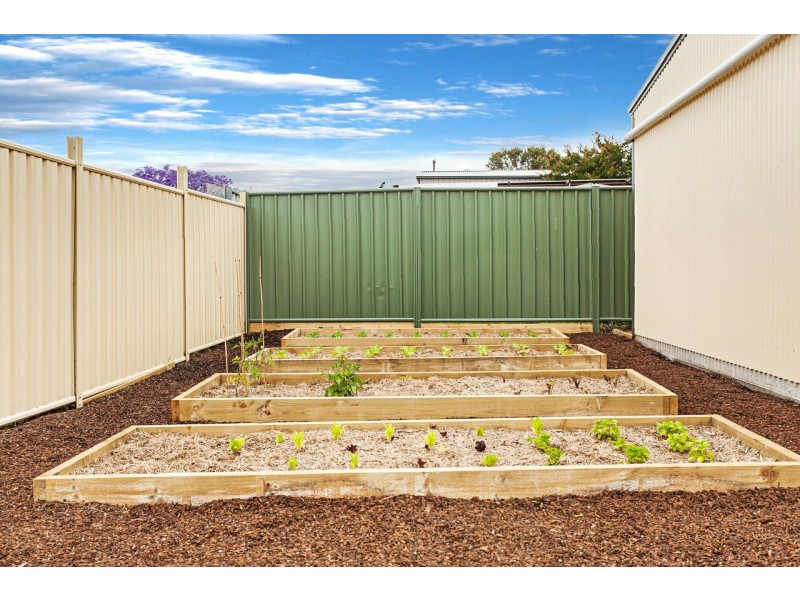 66 Desmond Street, Cessnock NSW 2325