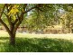 70 Caledonia Street, Kearsley NSW 2325
