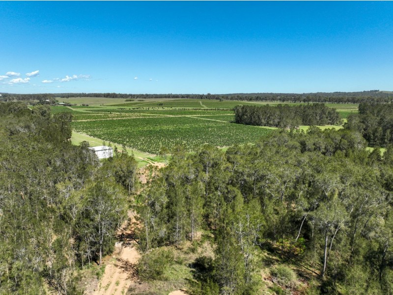 221 Deaseys Road, Pokolbin NSW 2320