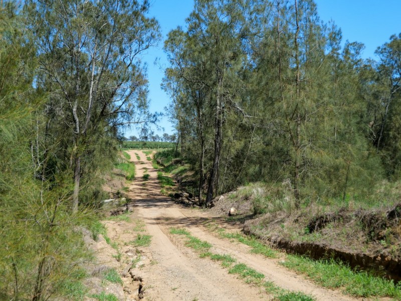 221 Deaseys Road, Pokolbin NSW 2320