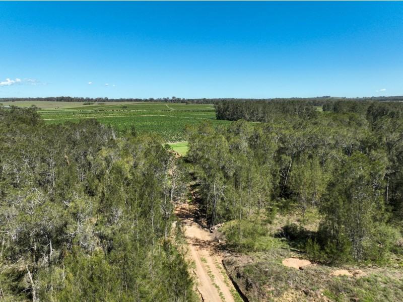 221 Deaseys Road, Pokolbin NSW 2320