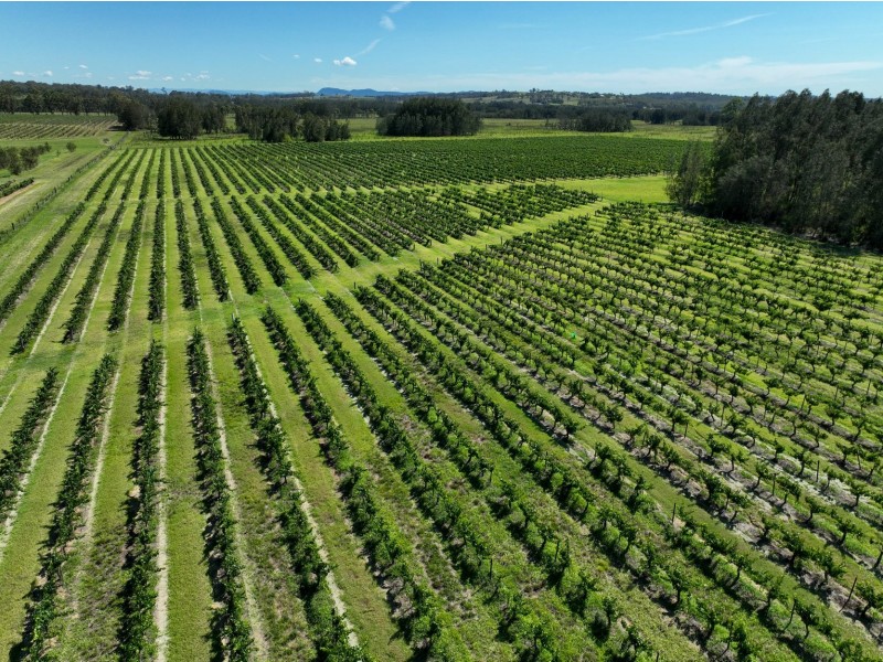 221 Deaseys Road, Pokolbin NSW 2320