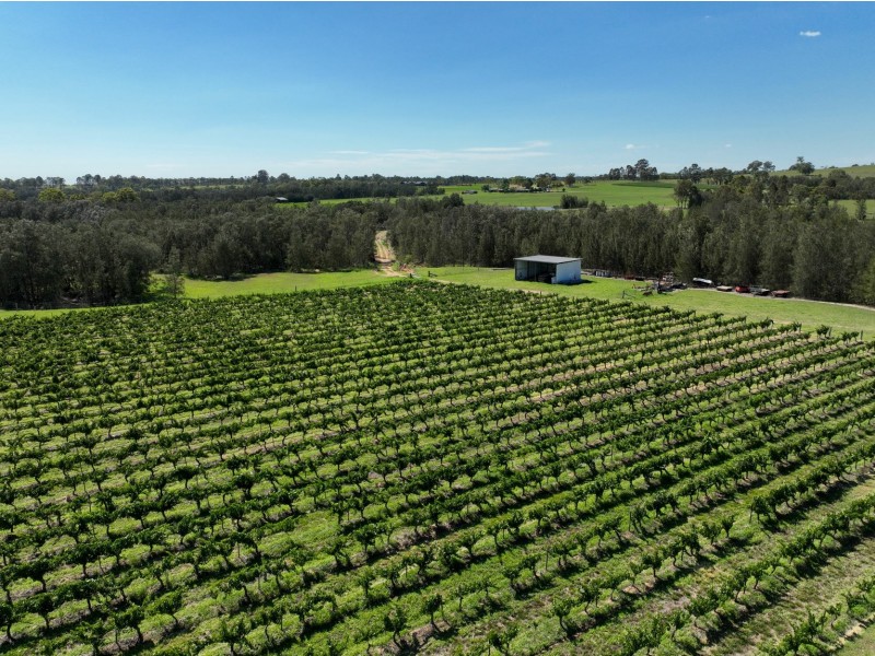 221 Deaseys Road, Pokolbin NSW 2320