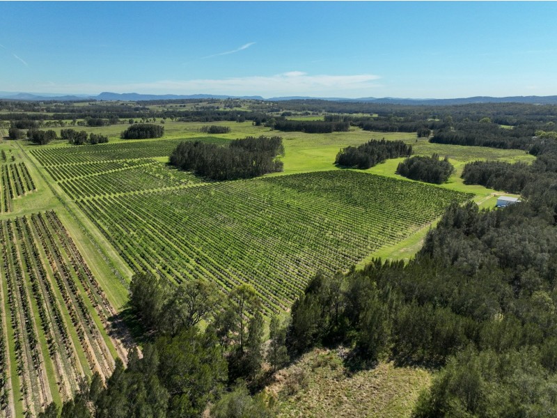 221 Deaseys Road, Pokolbin NSW 2320