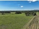 221 Deaseys Road, Pokolbin NSW 2320
