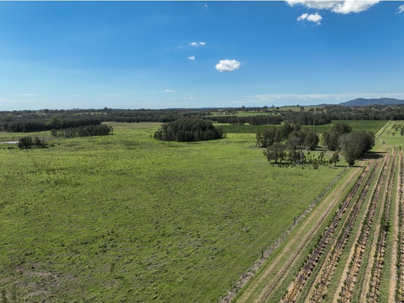 221 Deaseys Road, Pokolbin NSW 2320