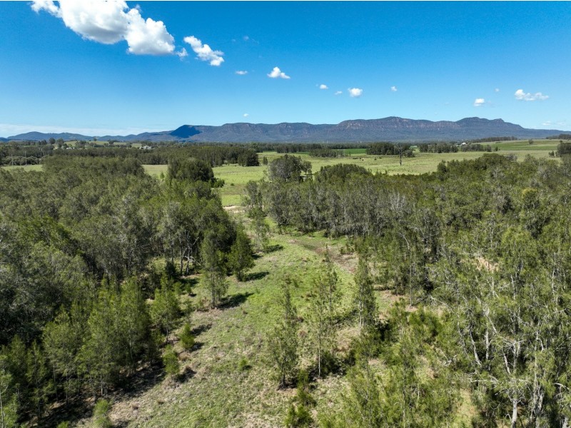 221 Deaseys Road, Pokolbin NSW 2320