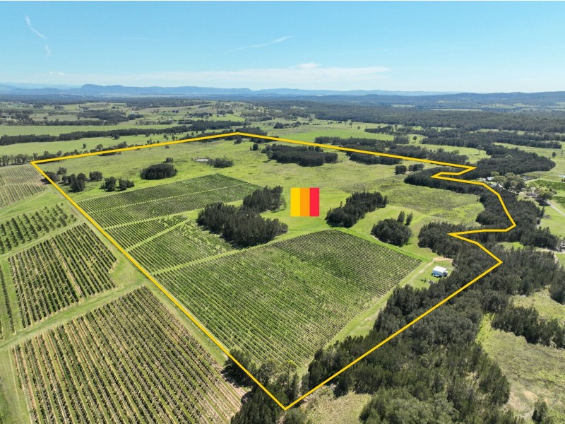 221 Deaseys Road, Pokolbin NSW 2320