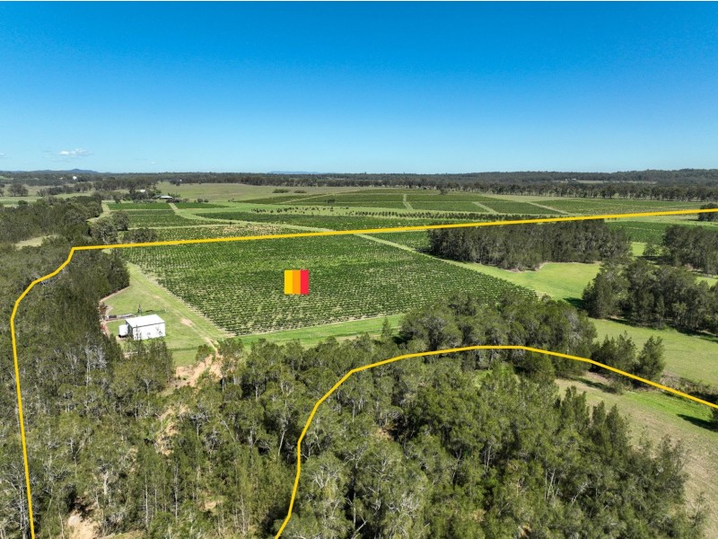 221 Deaseys Road, Pokolbin NSW 2320