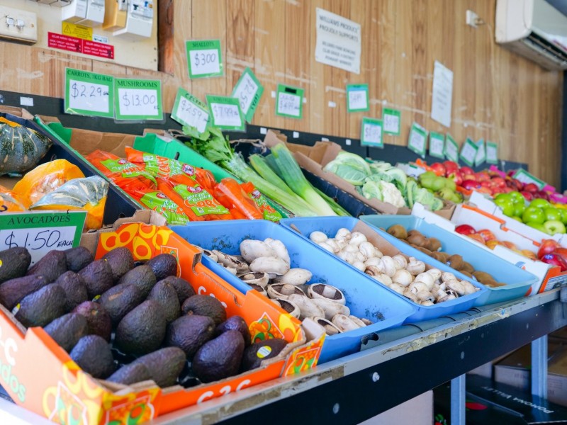 378 Wollombi Road, Bellbird NSW 2325