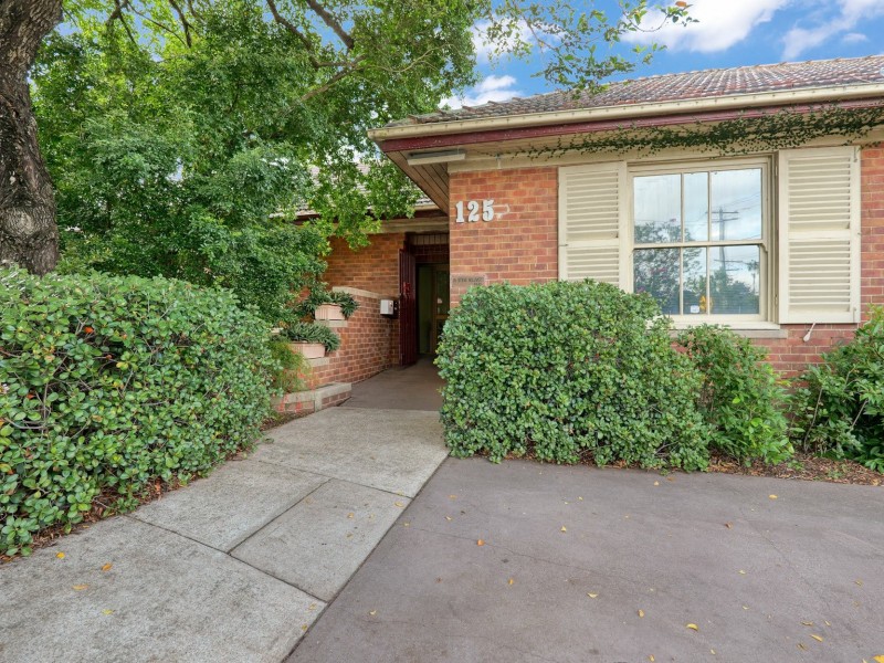 125 Mount Pleasant Street, Maitland NSW 2320