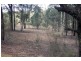 216 Tuckers Lane, North Rothbury NSW 2335