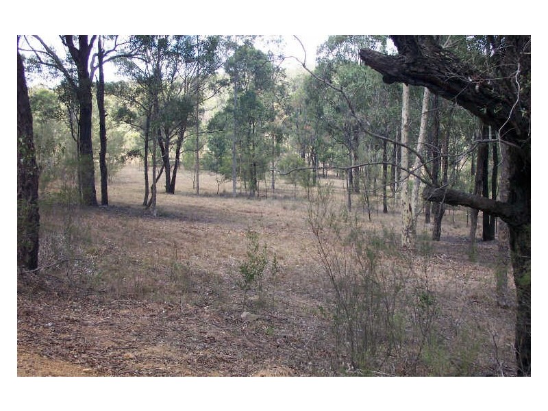 216 Tuckers Lane, North Rothbury NSW 2335