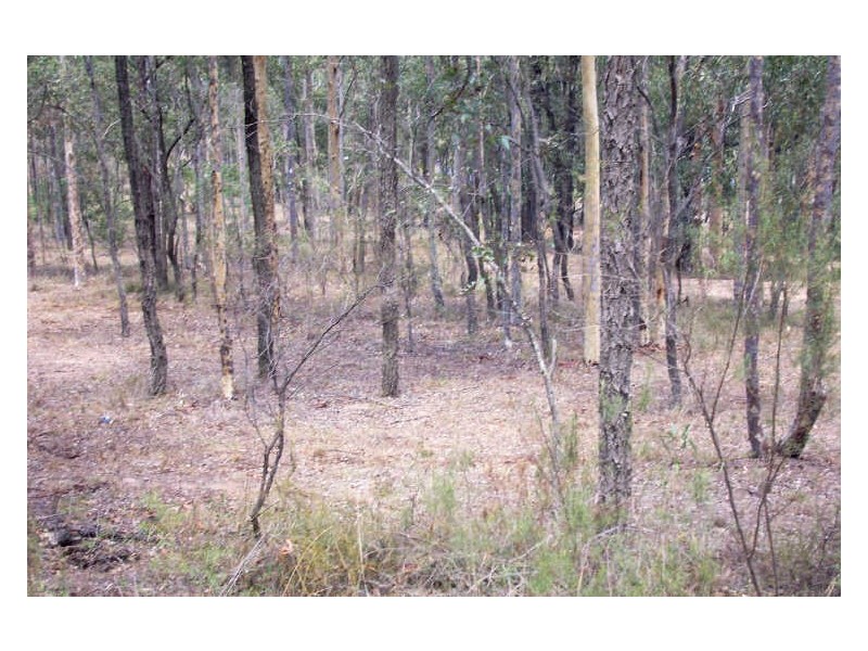 216 Tuckers Lane, North Rothbury NSW 2335