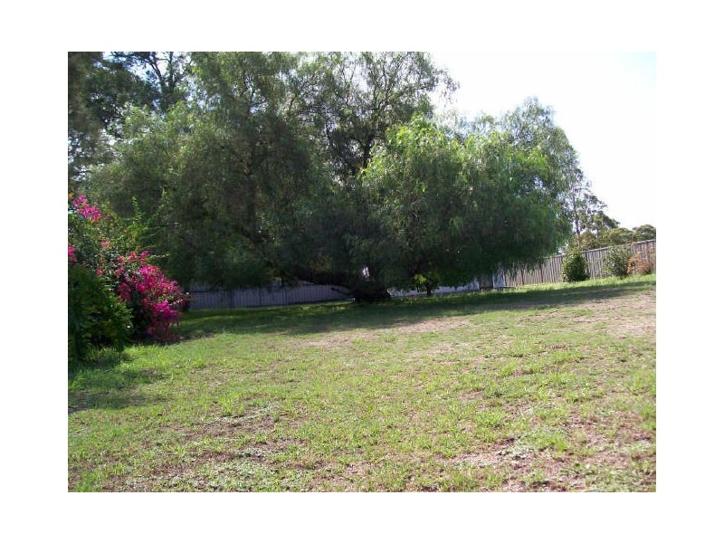 484 Wollombi Road, Bellbird NSW 2325