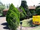 484 Wollombi Road, Bellbird NSW 2325