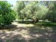 484 Wollombi Road, Bellbird NSW 2325