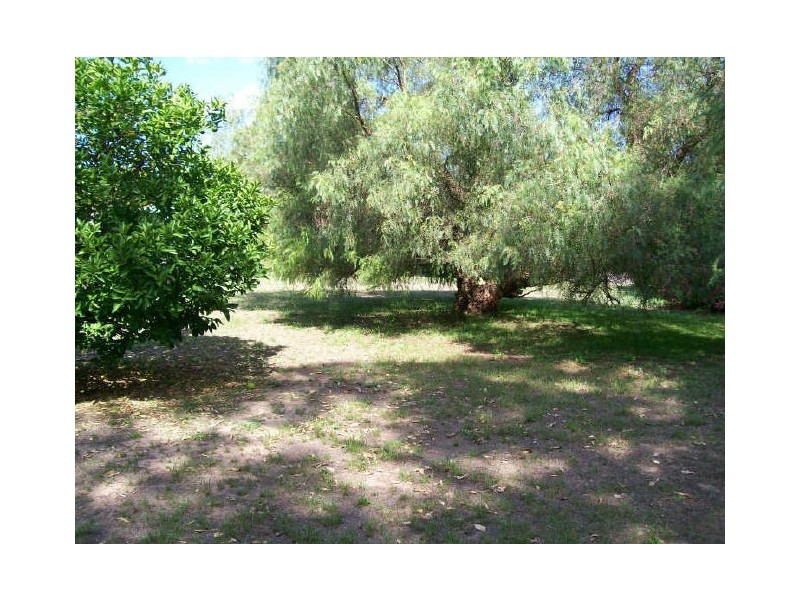 484 Wollombi Road, Bellbird NSW 2325