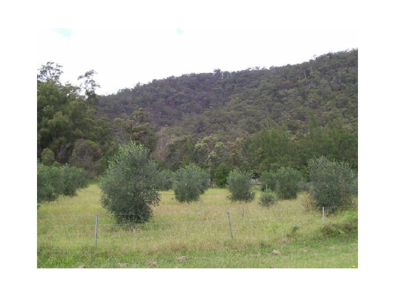 1855 Wollombi Road, Sweetmans Creek NSW 2325