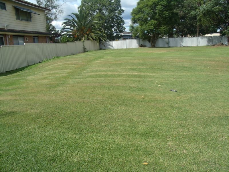 17 Tomalpin Street, Kearsley NSW 2325