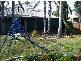 1 Charles Street, Abermain NSW 2326