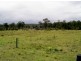 Lot 1132 Olsens Road, Lovedale NSW 2325