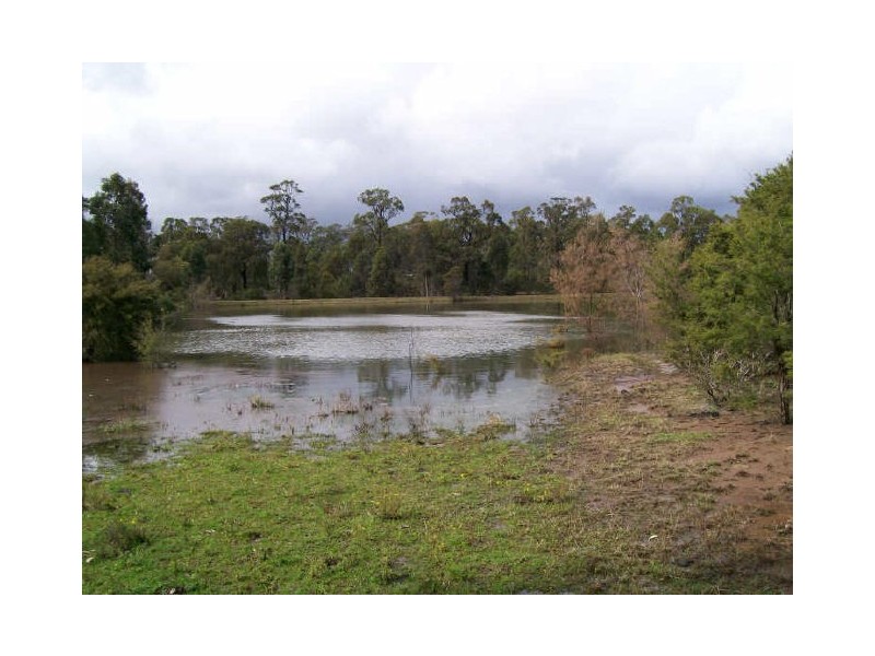 Lot 1132 Olsens Road, Lovedale NSW 2325