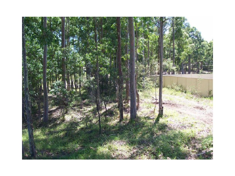 21 Reid Street, North Rothbury NSW 2335