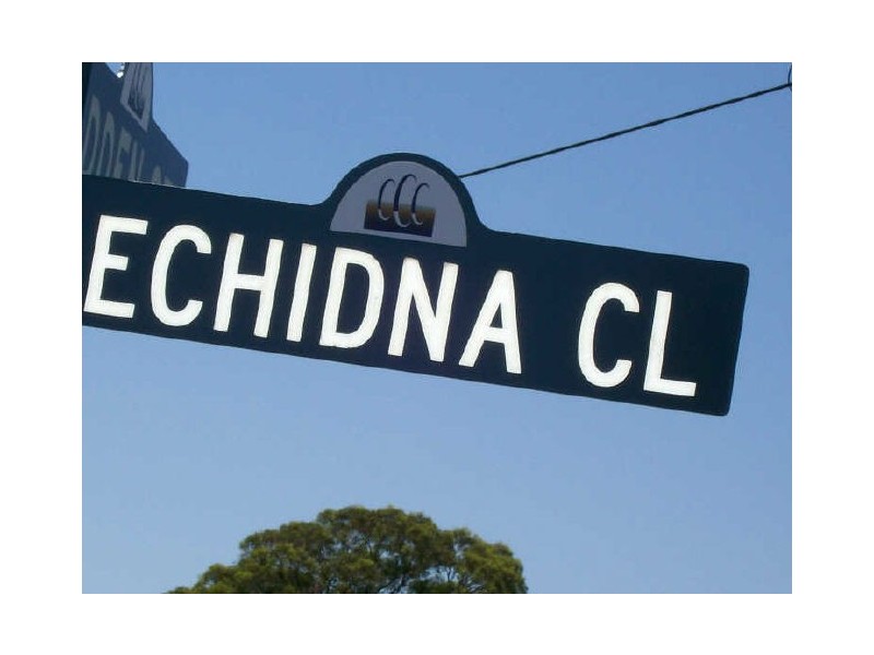3 Echidna Close, Bellbird NSW 2325