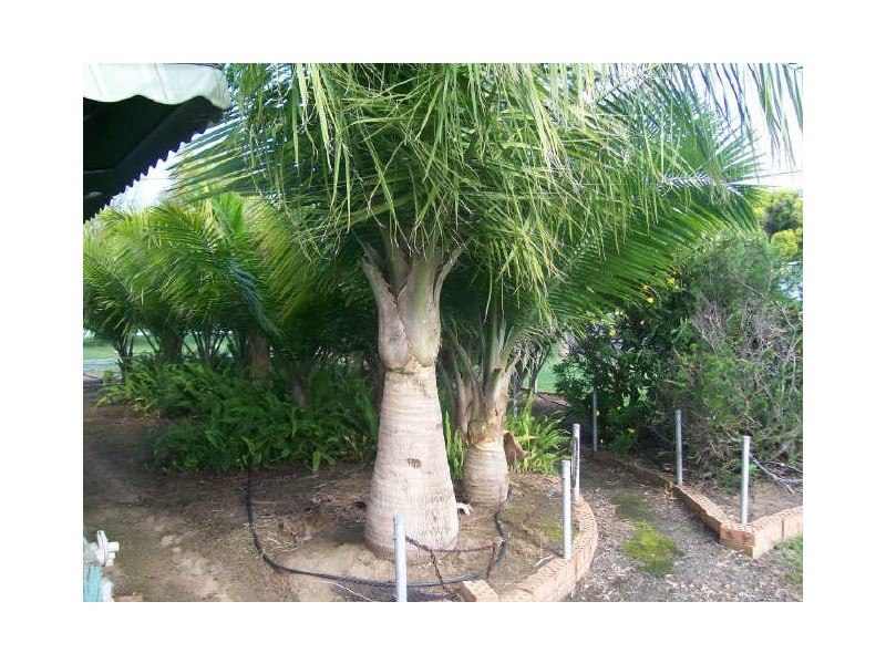 40 Burnett Street, Cessnock NSW 2325