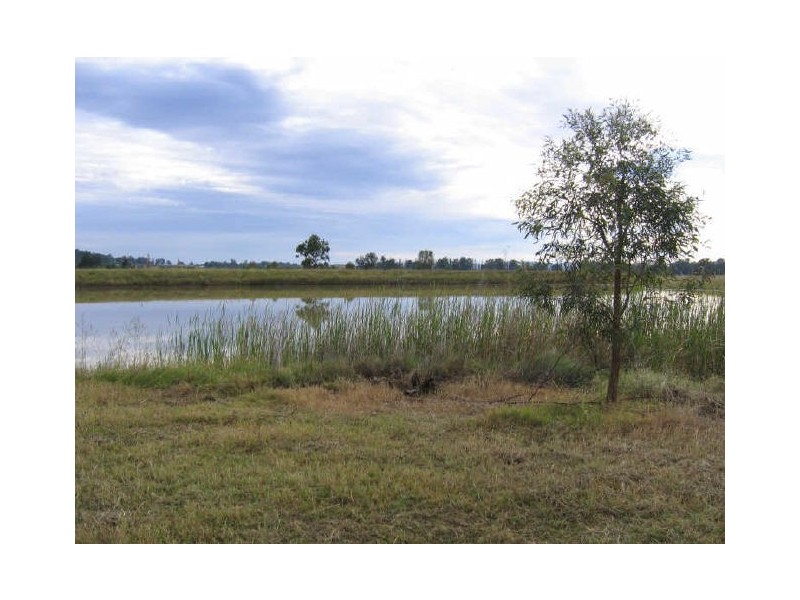 155 Milbrodale Road, Milbrodale NSW 2330