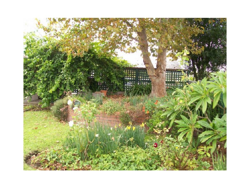 100 Northcote Street, Aberdare NSW 2325