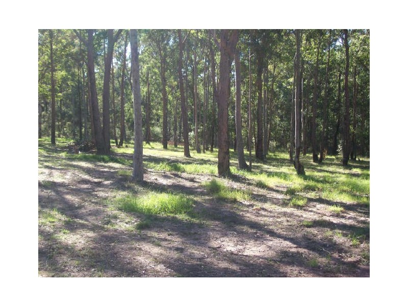 33 Dunlop Drive, Cessnock NSW 2325