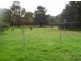 137 Northcote Street, Kurri Kurri NSW 2327