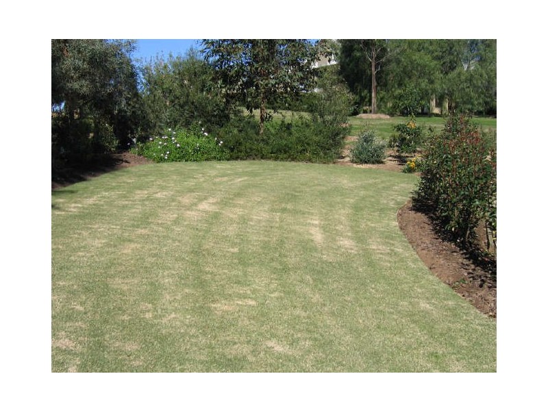 1 Barnhill Close, Rothbury NSW 2320