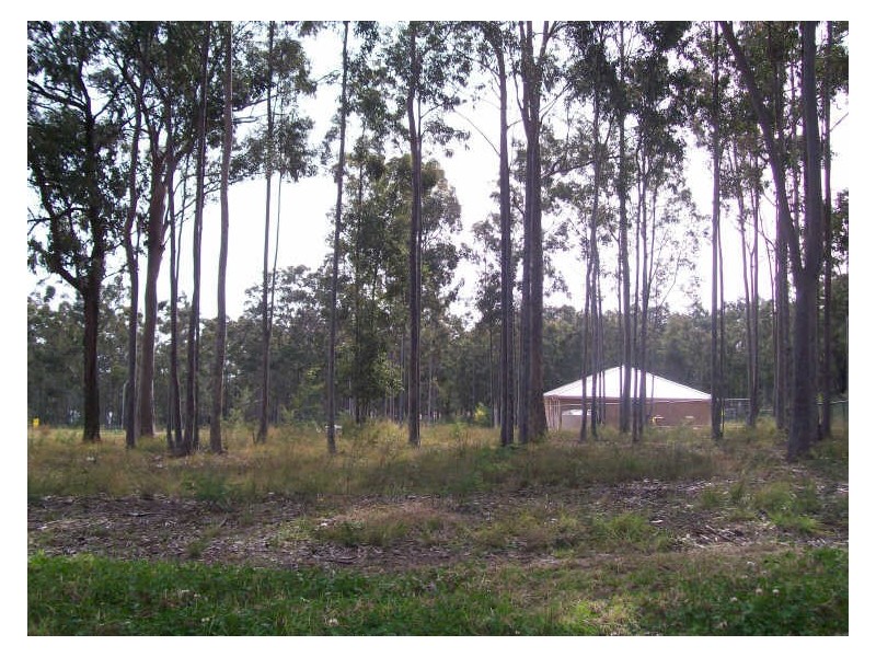 Lot 1102/6 Drayton Grove, Cessnock NSW 2325