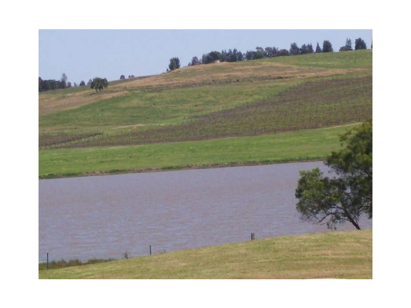 59-60 McDonalds Rd, Leisure Inn Pokolbin Hill, Pokolbin NSW 2320