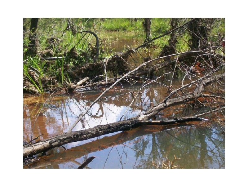 369 Dairy Arm Road, Laguna NSW 2325